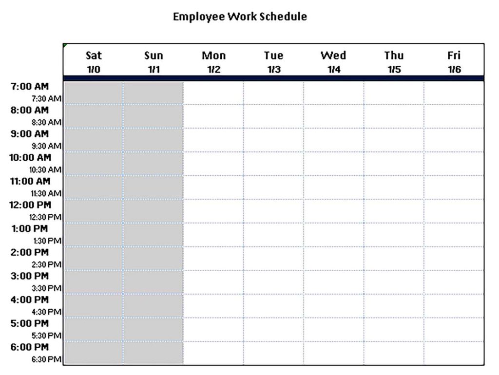 Template the Bi Weekly Work Schedule Sample