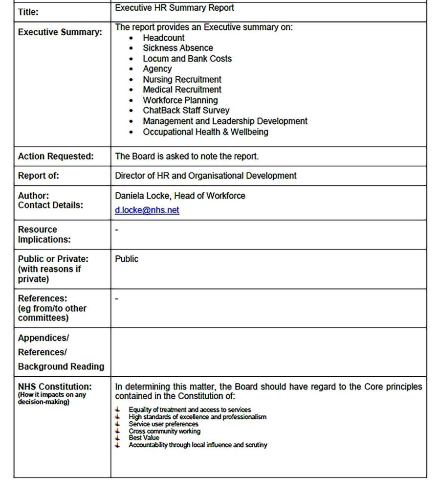 Sample HR Executive Summary Report PDF Template