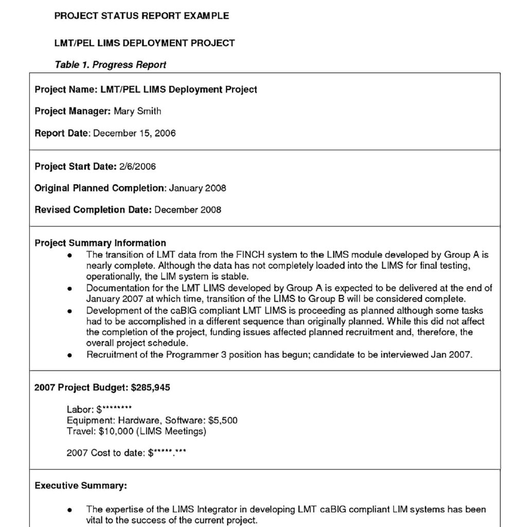 Sample Project Status Report Example